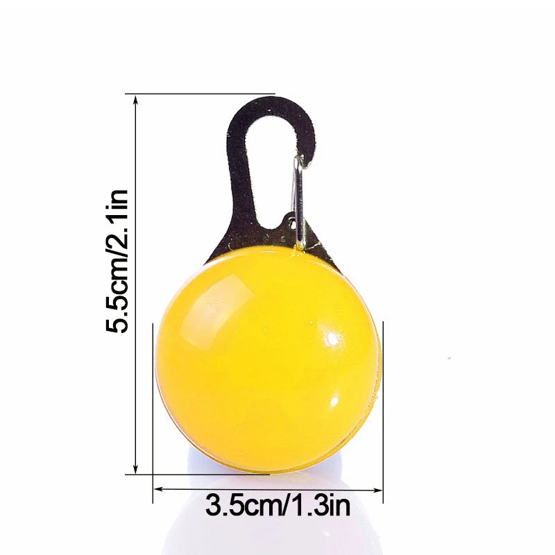 Collare luminoso per cani con ricarica USB e ciondolo, luce LED di lusso staccabile, luminoso per cani di piccola taglia, collare di sicurezza notturno per gatti all'ingrosso