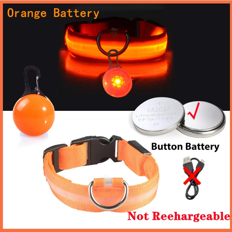 Collare luminoso per cani con ricarica USB e ciondolo, luce LED di lusso staccabile, luminoso per cani di piccola taglia, collare di sicurezza notturno per gatti all'ingrosso