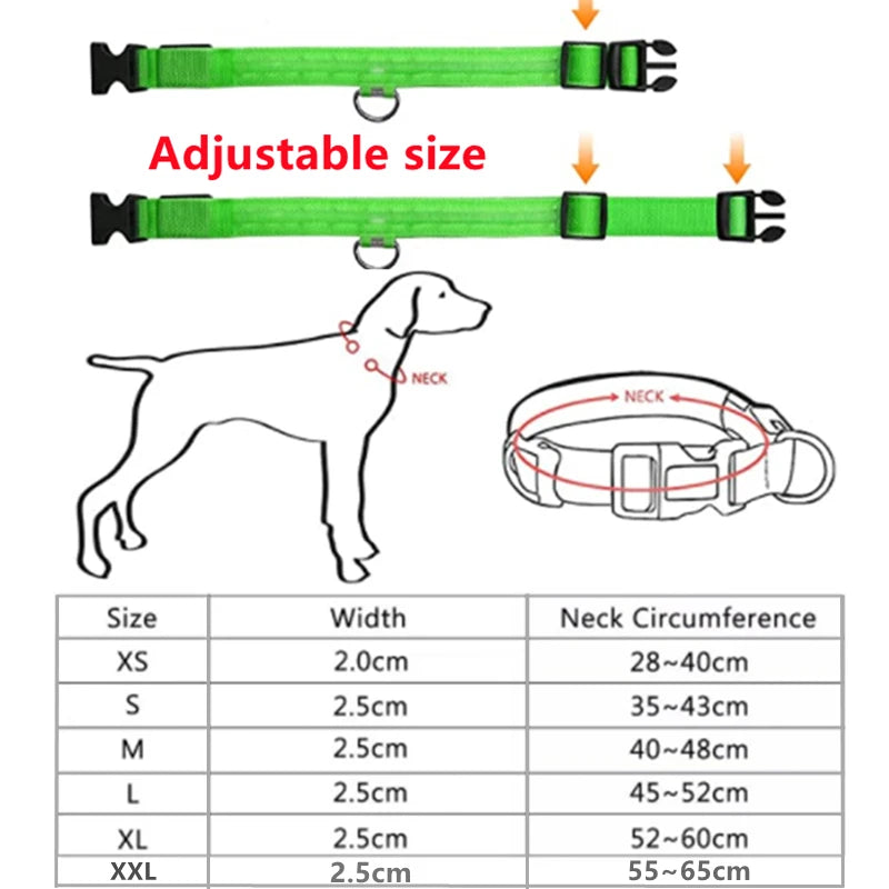 Collare luminoso per cani con ricarica USB e ciondolo, luce LED di lusso staccabile, luminoso per cani di piccola taglia, collare di sicurezza notturno per gatti all'ingrosso