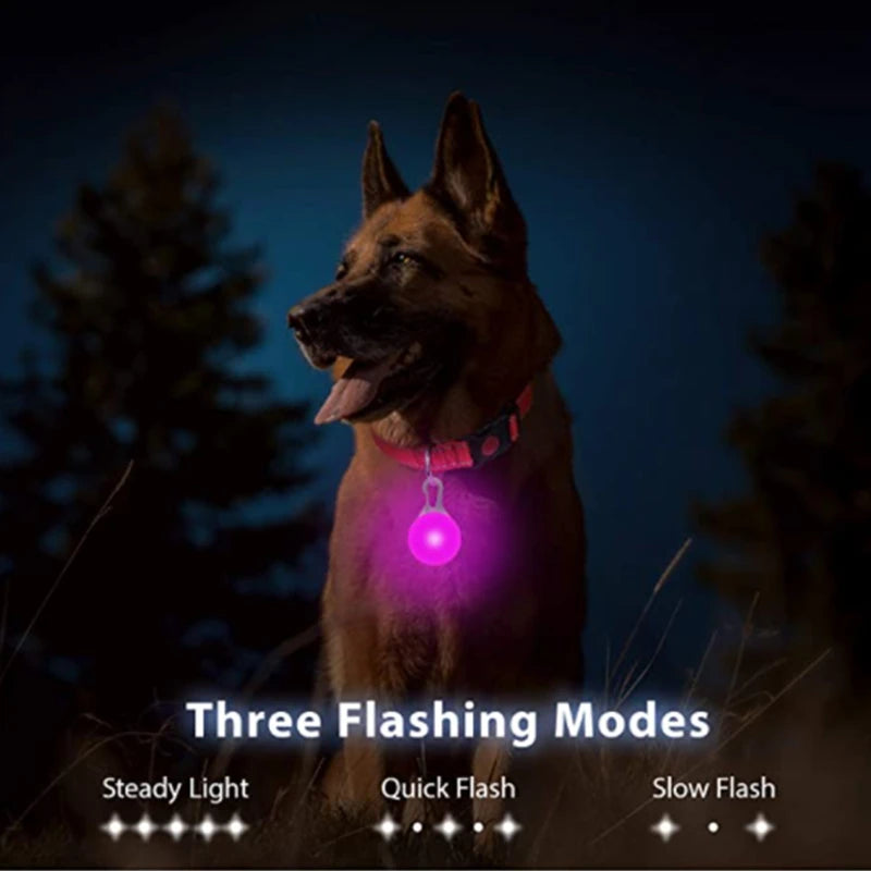 Collare luminoso per cani con ricarica USB e ciondolo, luce LED di lusso staccabile, luminoso per cani di piccola taglia, collare di sicurezza notturno per gatti all'ingrosso