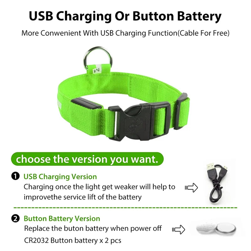 Collare luminoso per cani con ricarica USB e ciondolo, luce LED di lusso staccabile, luminoso per cani di piccola taglia, collare di sicurezza notturno per gatti all'ingrosso