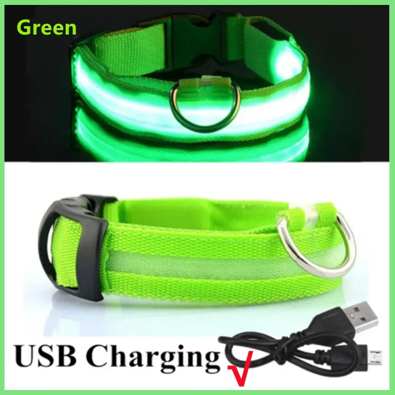 Collare luminoso per cani a 3 modalità, LED USB, per gatti e cani, staccabile, luminoso a LED notturno, per la prevenzione della perdita di cani, accessori per animali domestici