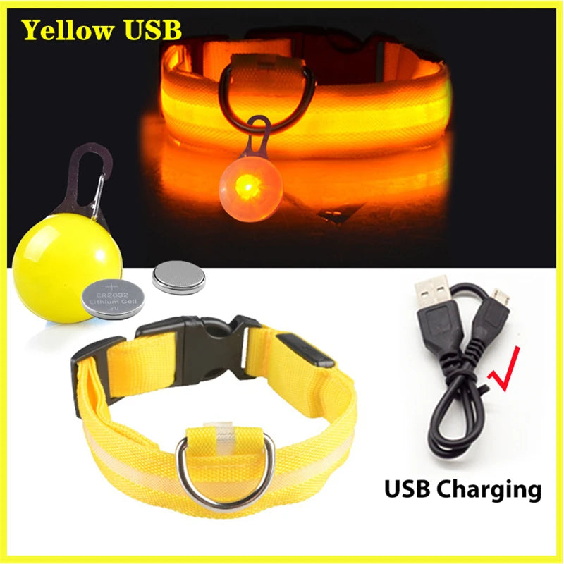 Collare luminoso per cani con ricarica USB e ciondolo, luce LED di lusso staccabile, luminoso per cani di piccola taglia, collare di sicurezza notturno per gatti all'ingrosso