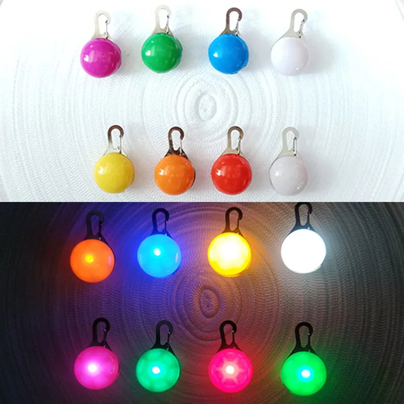 Collare luminoso per cani con ricarica USB e ciondolo, luce LED di lusso staccabile, luminoso per cani di piccola taglia, collare di sicurezza notturno per gatti all'ingrosso