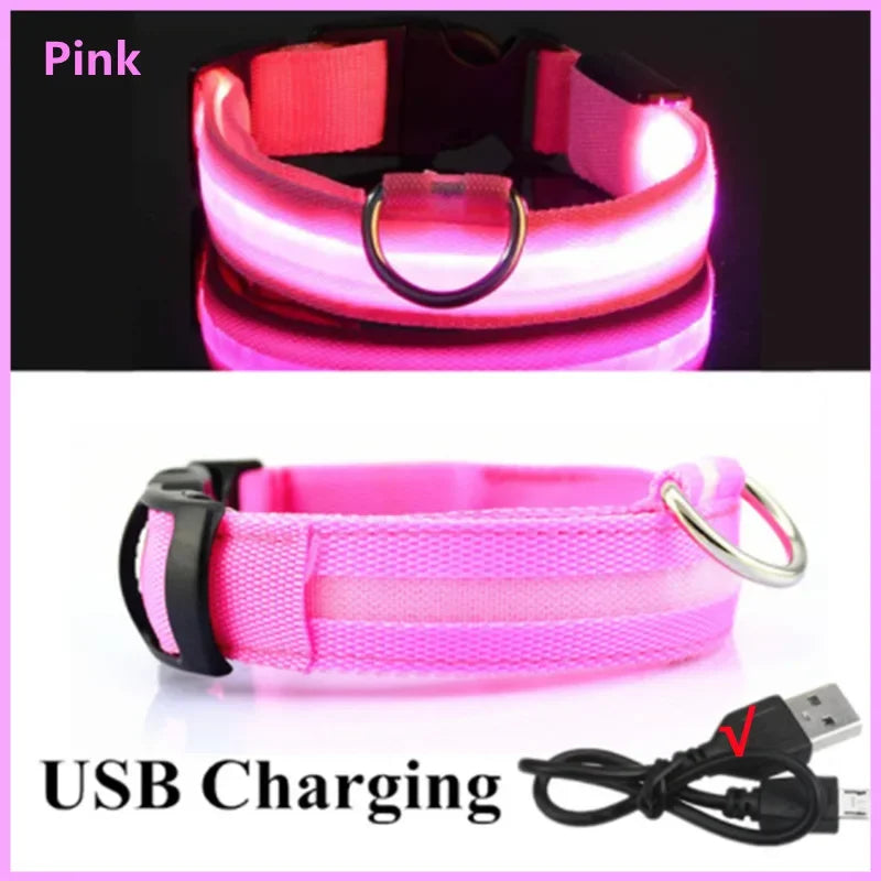 Collare luminoso per cani a 3 modalità, LED USB, per gatti e cani, staccabile, luminoso a LED notturno, per la prevenzione della perdita di cani, accessori per animali domestici