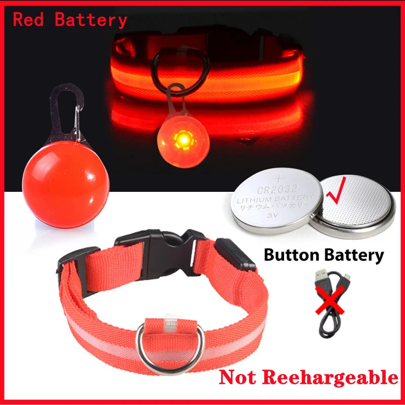 Collare luminoso per cani con ricarica USB e ciondolo, luce LED di lusso staccabile, luminoso per cani di piccola taglia, collare di sicurezza notturno per gatti all'ingrosso