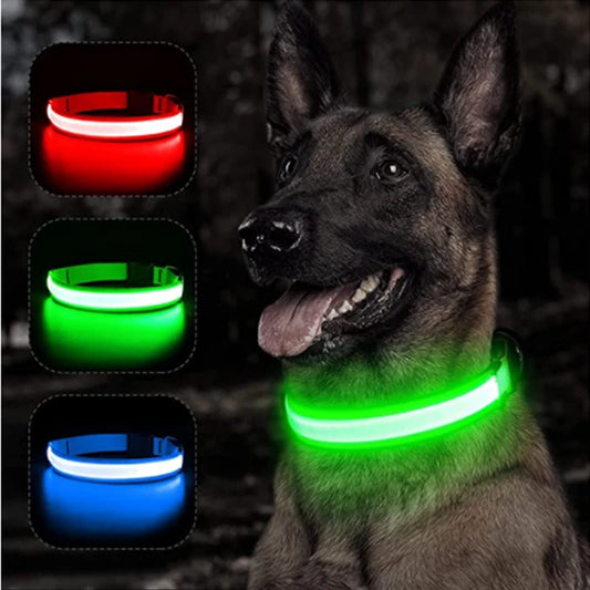 Collare luminoso per cani con ricarica USB e ciondolo, luce LED di lusso staccabile, luminoso per cani di piccola taglia, collare di sicurezza notturno per gatti all'ingrosso