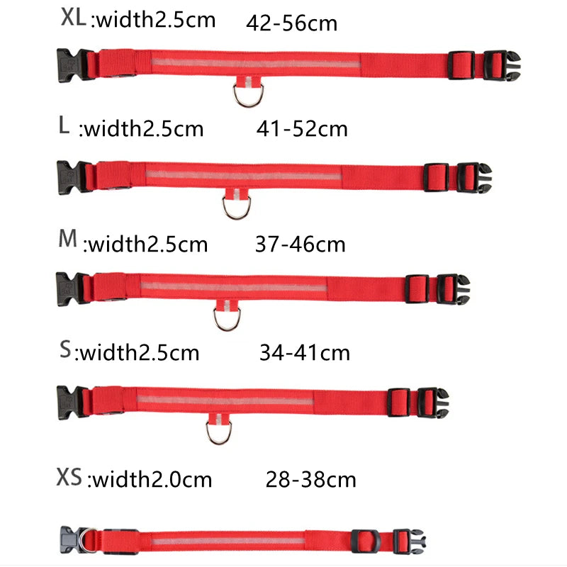 Collare luminoso per cani con ricarica USB e ciondolo, luce LED di lusso staccabile, luminoso per cani di piccola taglia, collare di sicurezza notturno per gatti all'ingrosso