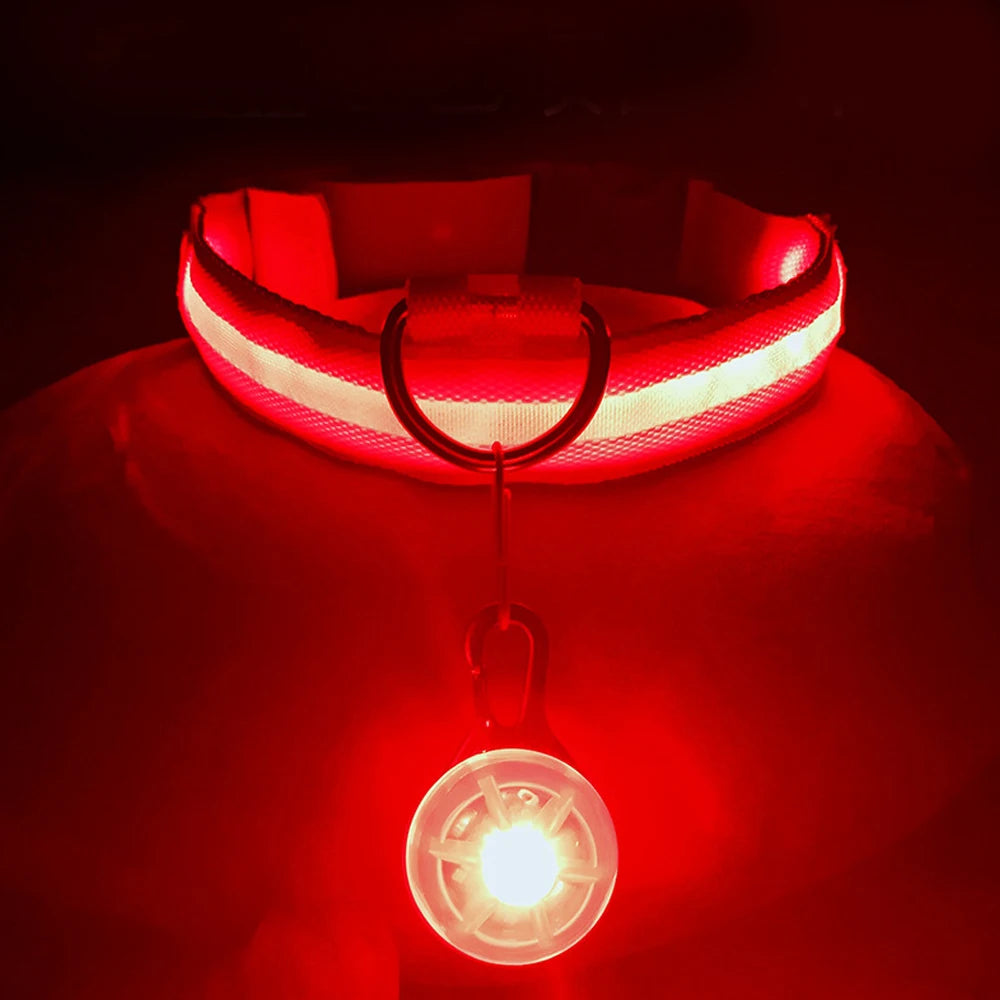 Collare luminoso per cani con ricarica USB e ciondolo, luce LED di lusso staccabile, luminoso per cani di piccola taglia, collare di sicurezza notturno per gatti all'ingrosso