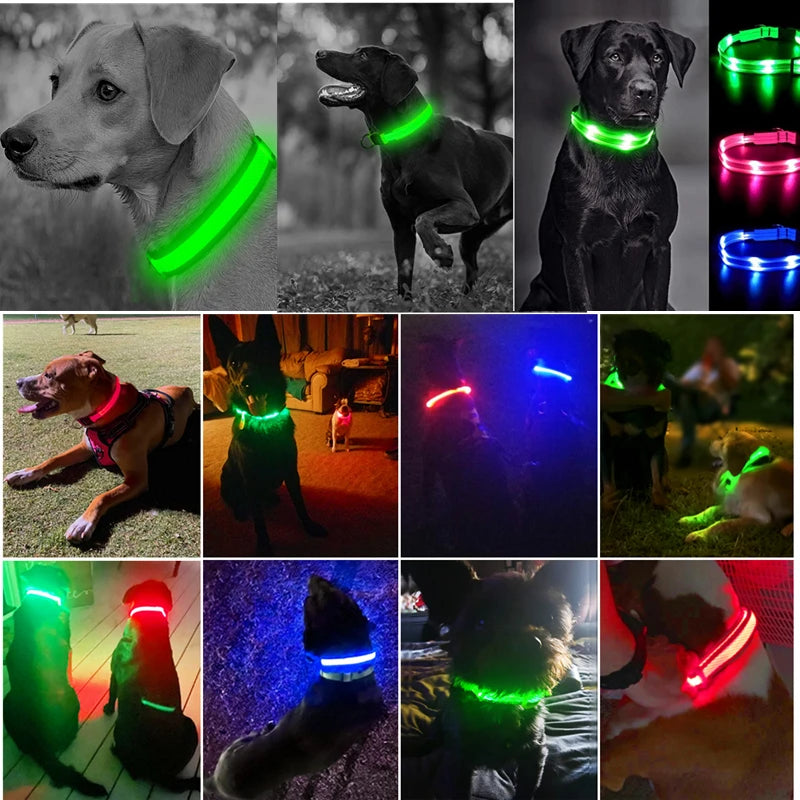 Collare luminoso per cani con ricarica USB e ciondolo, luce LED di lusso staccabile, luminoso per cani di piccola taglia, collare di sicurezza notturno per gatti all'ingrosso