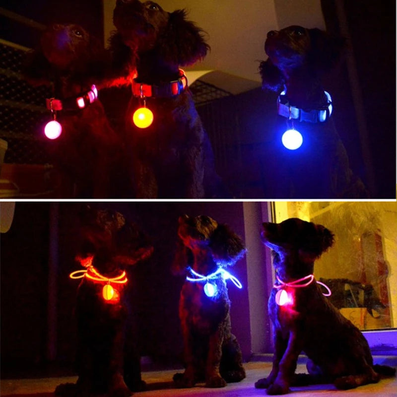 Collare luminoso per cani con ricarica USB e ciondolo, luce LED di lusso staccabile, luminoso per cani di piccola taglia, collare di sicurezza notturno per gatti all'ingrosso