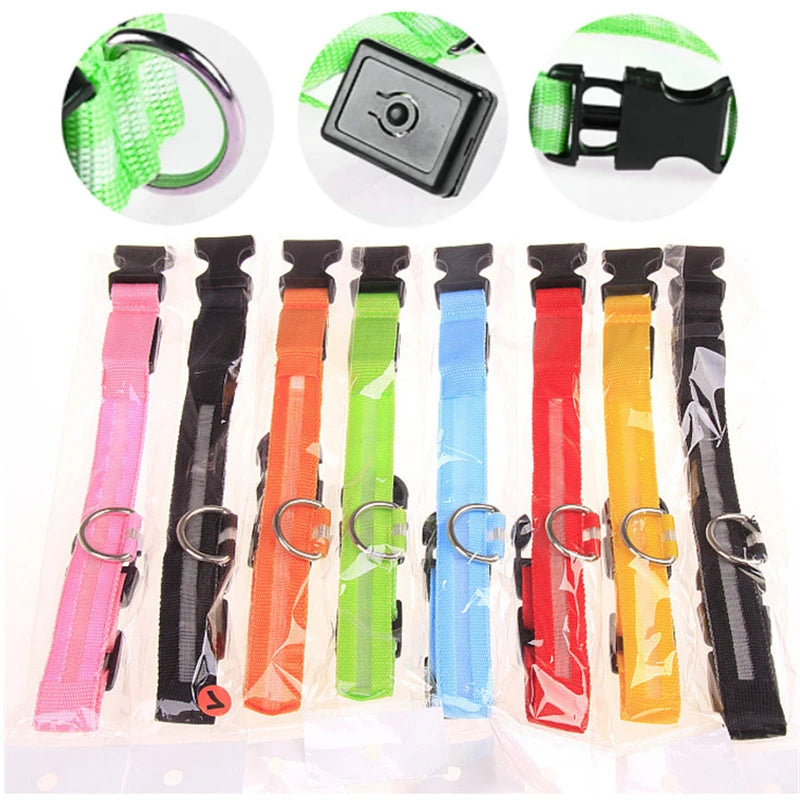 Collare luminoso per cani con ricarica USB e ciondolo, luce LED di lusso staccabile, luminoso per cani di piccola taglia, collare di sicurezza notturno per gatti all'ingrosso