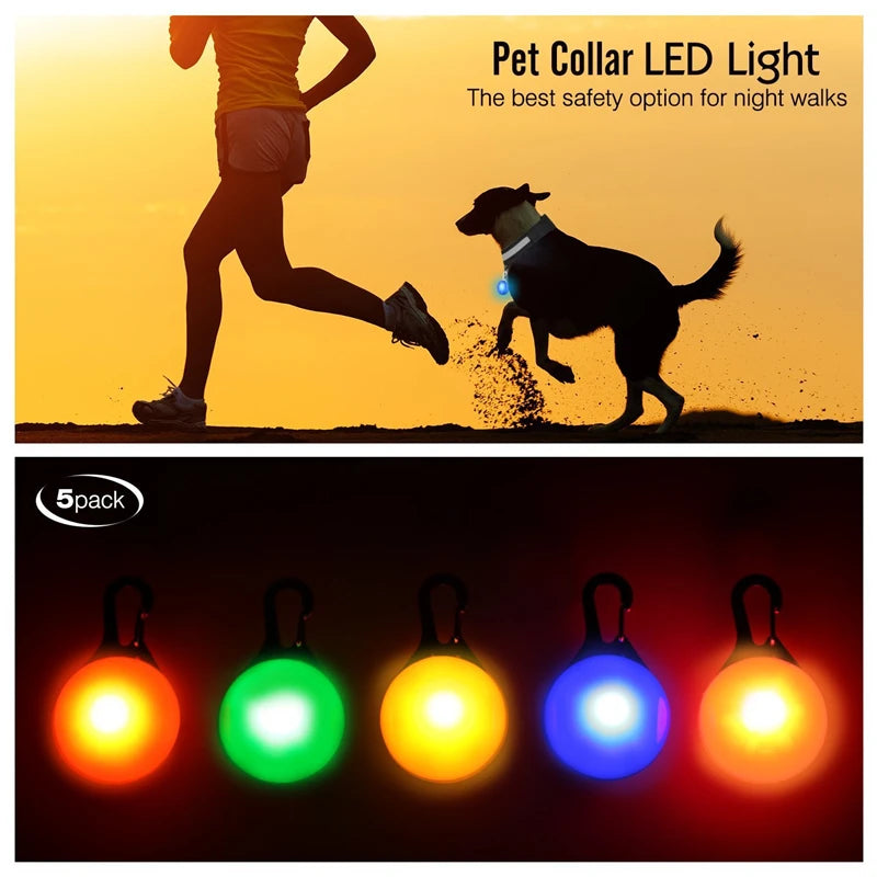 Collare luminoso per cani con ricarica USB e ciondolo, luce LED di lusso staccabile, luminoso per cani di piccola taglia, collare di sicurezza notturno per gatti all'ingrosso