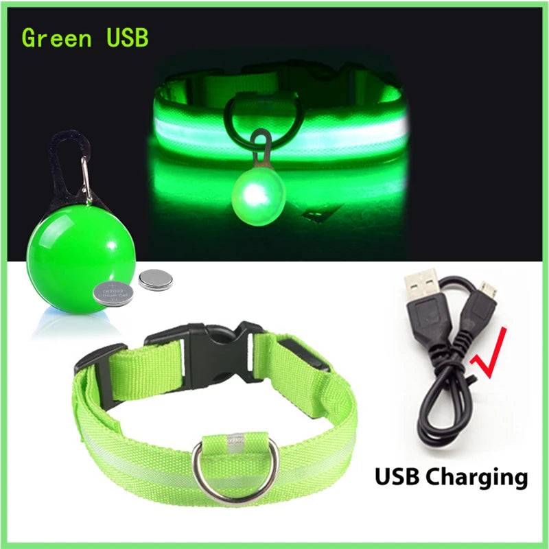 Collare luminoso per cani con ricarica USB e ciondolo, luce LED di lusso staccabile, luminoso per cani di piccola taglia, collare di sicurezza notturno per gatti all'ingrosso