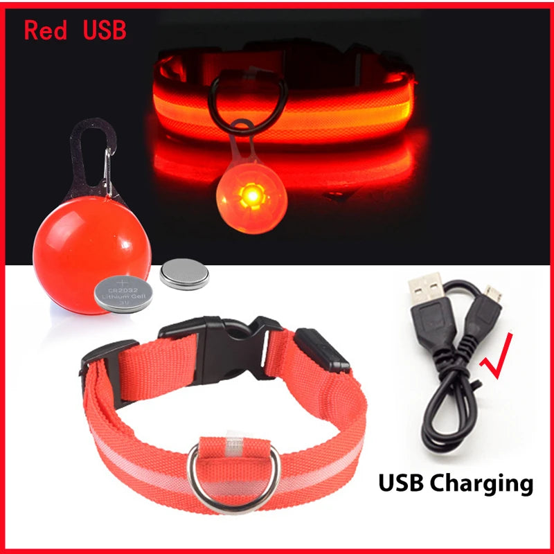 Collare luminoso per cani con ricarica USB e ciondolo, luce LED di lusso staccabile, luminoso per cani di piccola taglia, collare di sicurezza notturno per gatti all'ingrosso