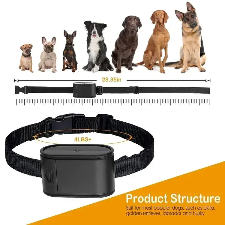 Telecamera a collare per animali domestici, per telecamere e monitor per animali domestici, rotazione di 360 gradi, mini telecamera tascabile portatile da esterno grandangolare da 120 gradi