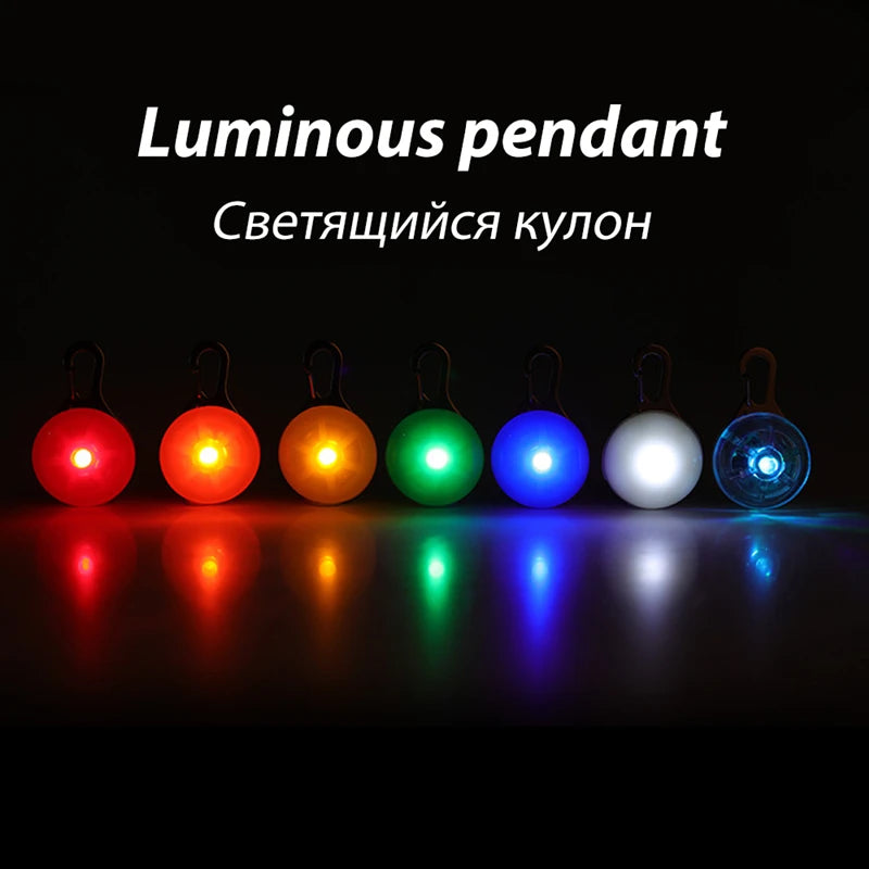 Collare luminoso per cani con ricarica USB e ciondolo, luce LED di lusso staccabile, luminoso per cani di piccola taglia, collare di sicurezza notturno per gatti all'ingrosso