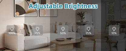 IRALAN Modern  ceiling fan with light LED Fan Light E27 Screw Fan Light Remote Control  Light Fan Ceiling Room decoration