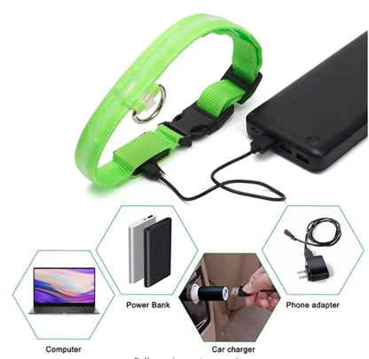 Collare luminoso per cani con ricarica USB e ciondolo, luce LED di lusso staccabile, luminoso per cani di piccola taglia, collare di sicurezza notturno per gatti all'ingrosso
