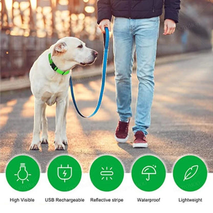 Collare luminoso per cani a 3 modalità, LED USB, per gatti e cani, staccabile, luminoso a LED notturno, per la prevenzione della perdita di cani, accessori per animali domestici