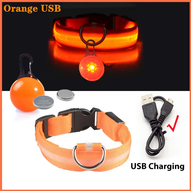 Collare luminoso per cani con ricarica USB e ciondolo, luce LED di lusso staccabile, luminoso per cani di piccola taglia, collare di sicurezza notturno per gatti all'ingrosso