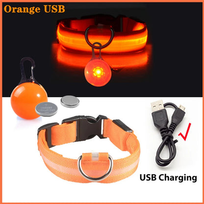 Collare luminoso per cani con ricarica USB e ciondolo, luce LED di lusso staccabile, luminoso per cani di piccola taglia, collare di sicurezza notturno per gatti all'ingrosso