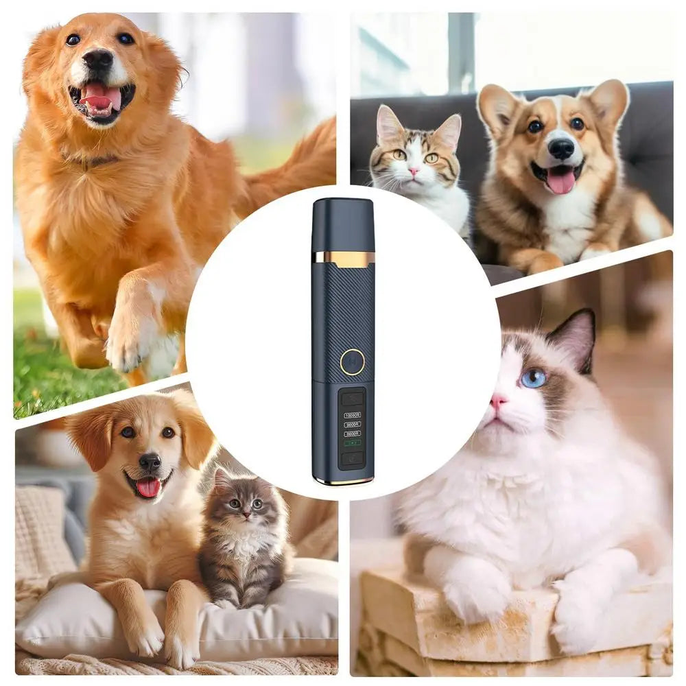 Tagliaunghie elettrico ricaricabile per cani, tagliaunghie elettrico ricaricabile per zampe, articoli per la toelettatura degli animali domestici, tagliaunghie per cani di piccola e media taglia