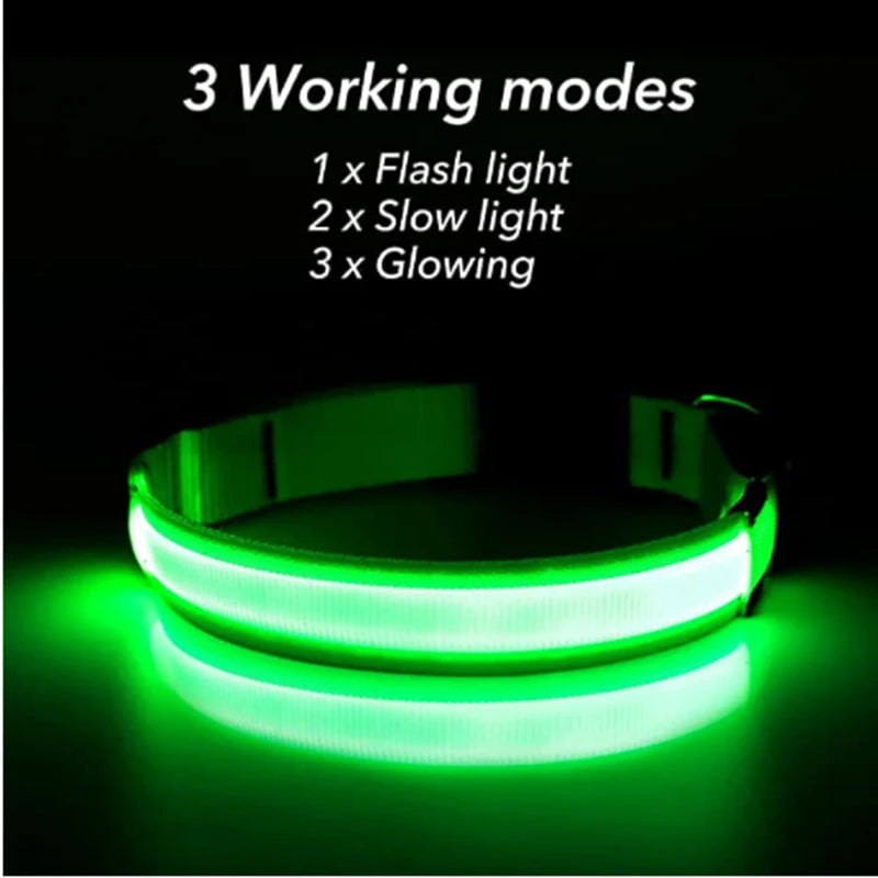 Collare luminoso per cani con ricarica USB e ciondolo, luce LED di lusso staccabile, luminoso per cani di piccola taglia, collare di sicurezza notturno per gatti all'ingrosso