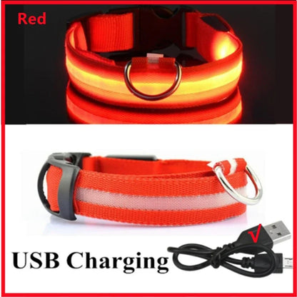 Collare luminoso per cani a 3 modalità, LED USB, per gatti e cani, staccabile, luminoso a LED notturno, per la prevenzione della perdita di cani, accessori per animali domestici