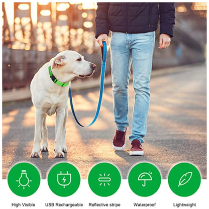 Collare luminoso per cani con ricarica USB e ciondolo, luce LED di lusso staccabile, luminoso per cani di piccola taglia, collare di sicurezza notturno per gatti all'ingrosso