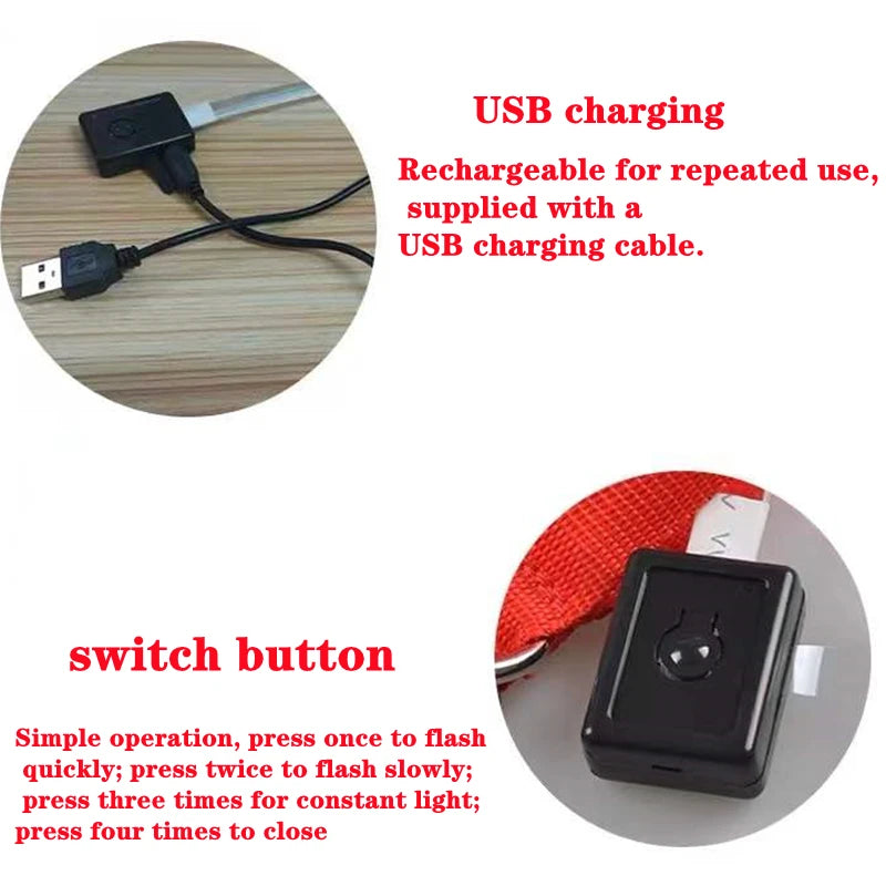 Collare luminoso per cani con ricarica USB e ciondolo, luce LED di lusso staccabile, luminoso per cani di piccola taglia, collare di sicurezza notturno per gatti all'ingrosso