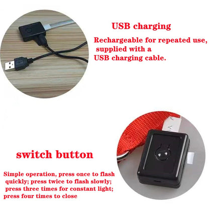 Collare luminoso per cani con ricarica USB e ciondolo, luce LED di lusso staccabile, luminoso per cani di piccola taglia, collare di sicurezza notturno per gatti all'ingrosso