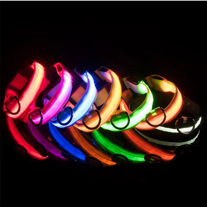 Collare luminoso per cani con ricarica USB e ciondolo, luce LED di lusso staccabile, luminoso per cani di piccola taglia, collare di sicurezza notturno per gatti all'ingrosso