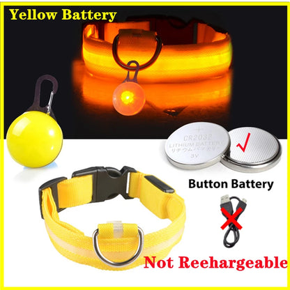 Collare luminoso per cani con ricarica USB e ciondolo, luce LED di lusso staccabile, luminoso per cani di piccola taglia, collare di sicurezza notturno per gatti all'ingrosso