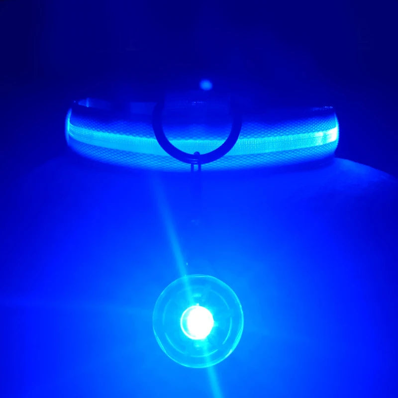 Collare luminoso per cani con ricarica USB e ciondolo, luce LED di lusso staccabile, luminoso per cani di piccola taglia, collare di sicurezza notturno per gatti all'ingrosso