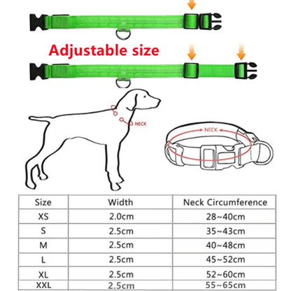 Collare luminoso per cani con ricarica USB e ciondolo, luce LED di lusso staccabile, luminoso per cani di piccola taglia, collare di sicurezza notturno per gatti all'ingrosso