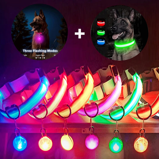 Collare luminoso per cani con ricarica USB e ciondolo, luce LED di lusso staccabile, luminoso per cani di piccola taglia, collare di sicurezza notturno per gatti all'ingrosso