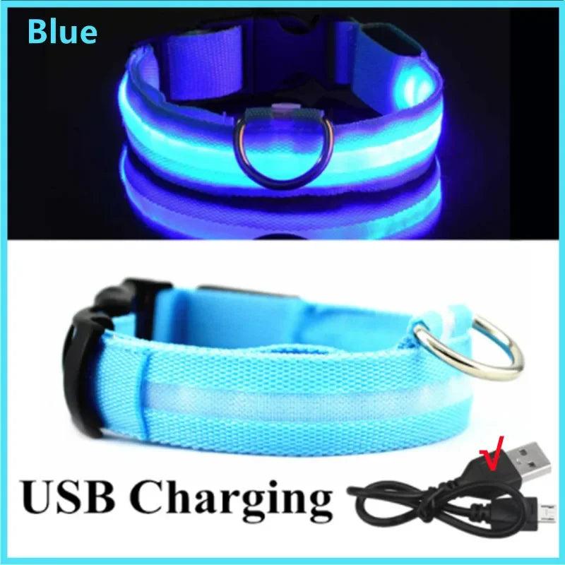 Collare luminoso per cani a 3 modalità, LED USB, per gatti e cani, staccabile, luminoso a LED notturno, per la prevenzione della perdita di cani, accessori per animali domestici