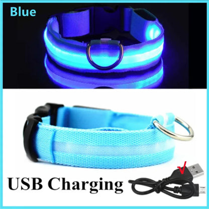 Collare luminoso per cani a 3 modalità, LED USB, per gatti e cani, staccabile, luminoso a LED notturno, per la prevenzione della perdita di cani, accessori per animali domestici