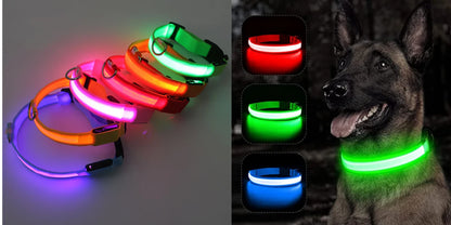 Collare luminoso per cani con ricarica USB e ciondolo, luce LED di lusso staccabile, luminoso per cani di piccola taglia, collare di sicurezza notturno per gatti all'ingrosso