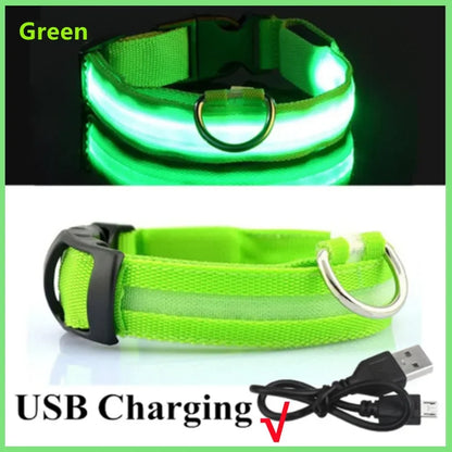 Collare luminoso per cani a 3 modalità, LED USB, per gatti e cani, staccabile, luminoso a LED notturno, per la prevenzione della perdita di cani, accessori per animali domestici