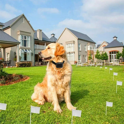 Telecamera a collare per animali domestici, per telecamere e monitor per animali domestici, rotazione di 360 gradi, mini telecamera tascabile portatile da esterno grandangolare da 120 gradi
