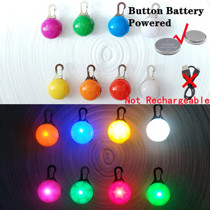 Collare luminoso per cani con ricarica USB e ciondolo, luce LED di lusso staccabile, luminoso per cani di piccola taglia, collare di sicurezza notturno per gatti all'ingrosso