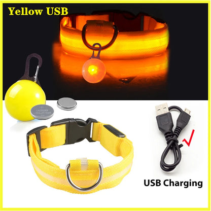 Collare luminoso per cani con ricarica USB e ciondolo, luce LED di lusso staccabile, luminoso per cani di piccola taglia, collare di sicurezza notturno per gatti all'ingrosso