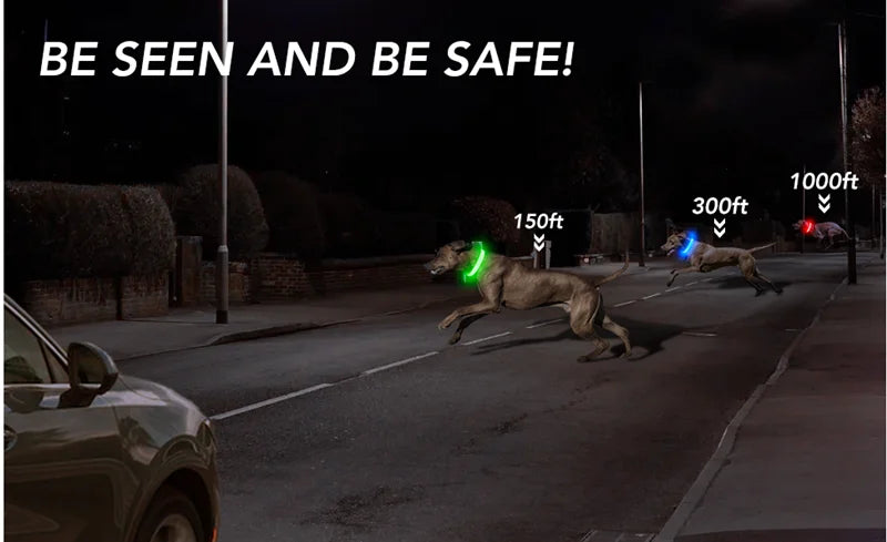 Collare luminoso per cani con ricarica USB e ciondolo, luce LED di lusso staccabile, luminoso per cani di piccola taglia, collare di sicurezza notturno per gatti all'ingrosso