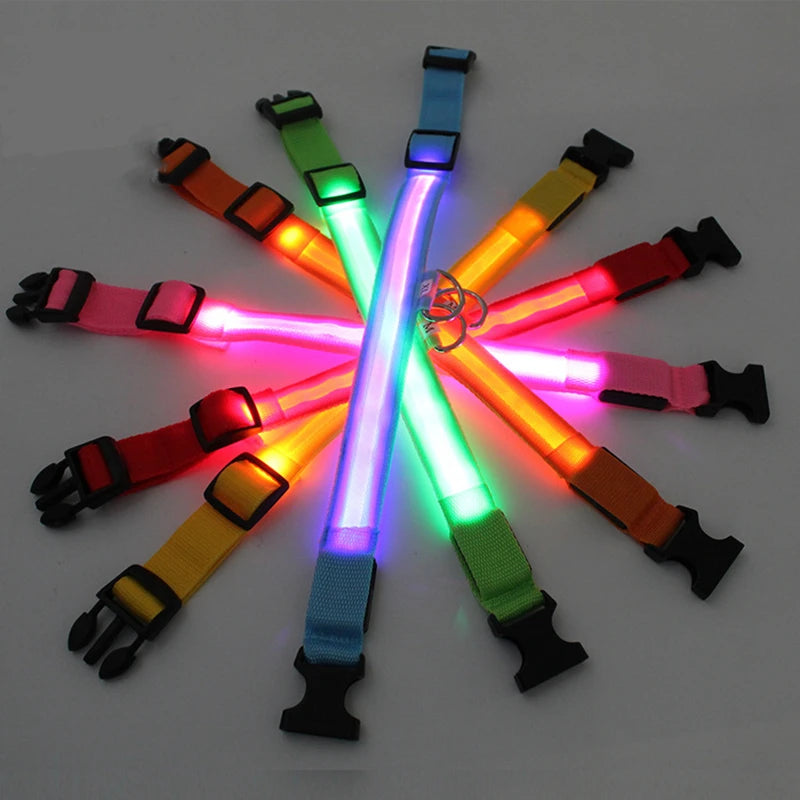 Collare luminoso per cani con ricarica USB e ciondolo, luce LED di lusso staccabile, luminoso per cani di piccola taglia, collare di sicurezza notturno per gatti all'ingrosso