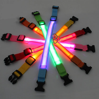 Collare luminoso per cani con ricarica USB e ciondolo, luce LED di lusso staccabile, luminoso per cani di piccola taglia, collare di sicurezza notturno per gatti all'ingrosso