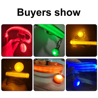 Collare luminoso per cani con ricarica USB e ciondolo, luce LED di lusso staccabile, luminoso per cani di piccola taglia, collare di sicurezza notturno per gatti all'ingrosso