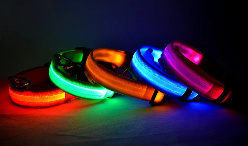 Collare luminoso per cani con ricarica USB e ciondolo, luce LED di lusso staccabile, luminoso per cani di piccola taglia, collare di sicurezza notturno per gatti all'ingrosso