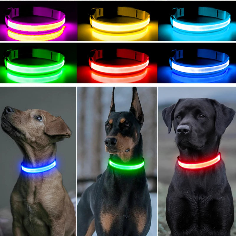 Collare luminoso per cani con ricarica USB e ciondolo, luce LED di lusso staccabile, luminoso per cani di piccola taglia, collare di sicurezza notturno per gatti all'ingrosso